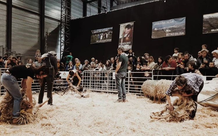 LURRAMA - Le salon de la ferme Pays Basque s’installe à Biarritz